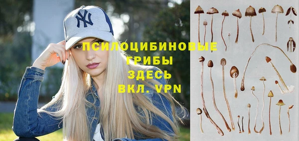 трава Абдулино