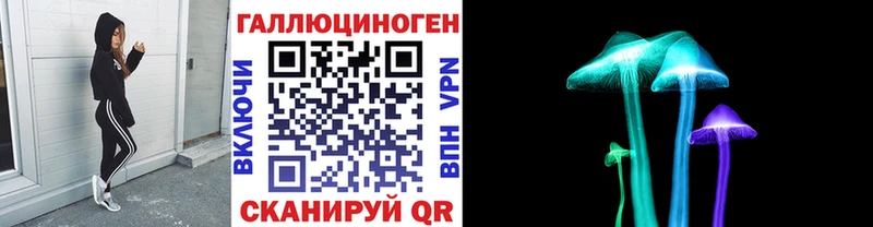закладки  Монино  Псилоцибиновые грибы Psilocybe 